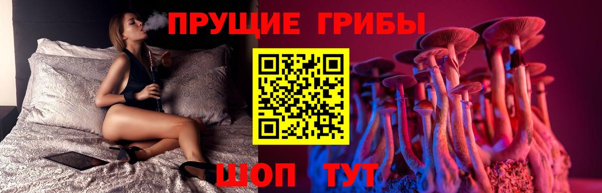 Галлюциногенные грибы прущие грибы Вышний Волочёк
